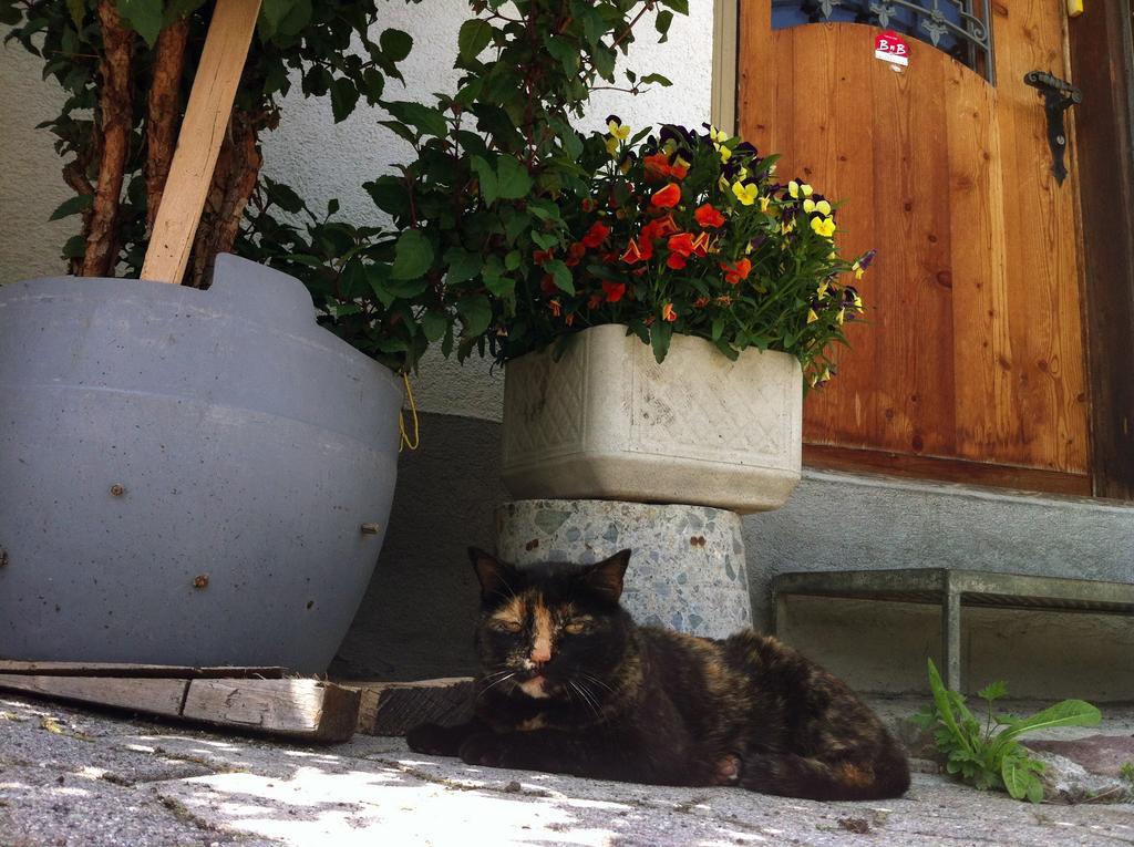 Bnb Guesthouse Lusi Frauenkirch Exterior photo