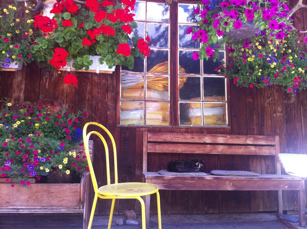 Bnb Guesthouse Lusi Frauenkirch Exterior photo